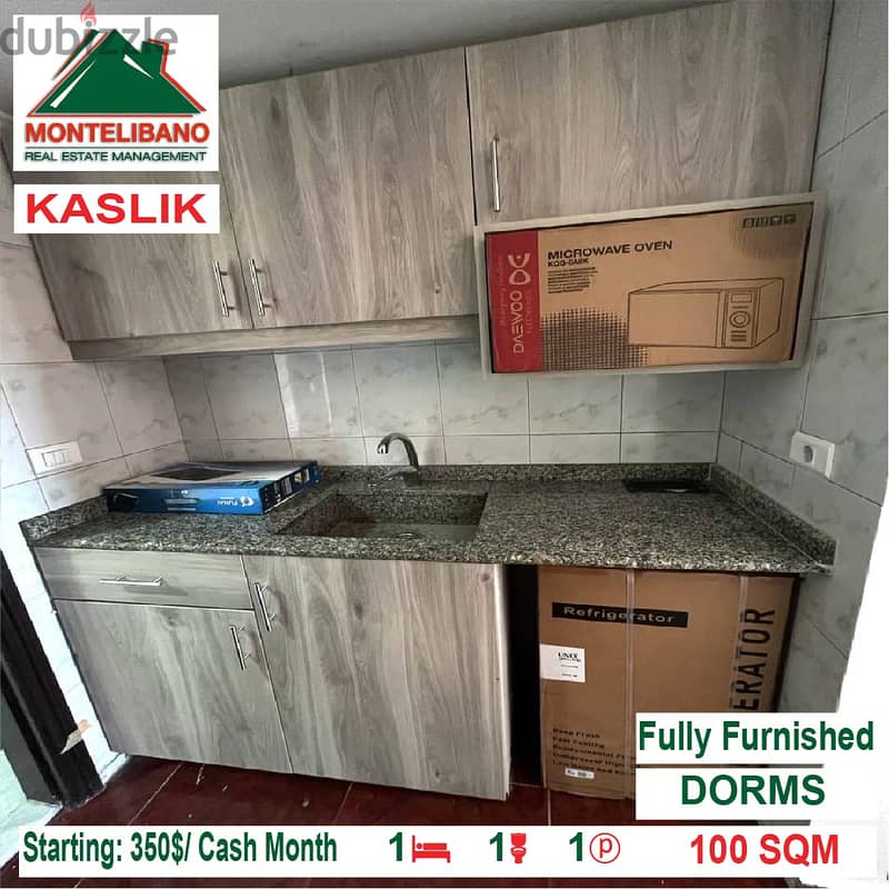 Starting: 350$/Cash Month!! Dorms for rent in Kaslik!! 1