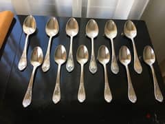 Spoons /2 sizes / 12  Pieces 0