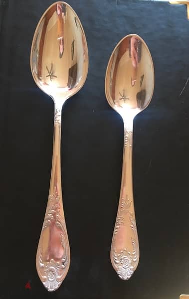 Spoons /2 sizes / 12  Pieces 1
