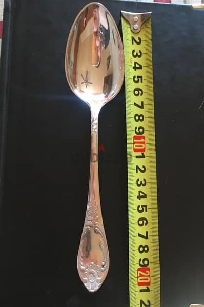 Spoons /2 sizes / 12  Pieces 2