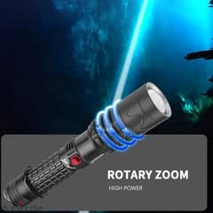 Diving Torchlight p70