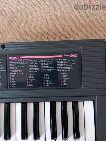 CASIO Keyboard CTK-450 with new Stand 4