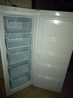 freezer brand Savo 200$