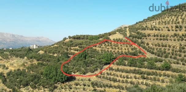 Land for sale in Laklouk ارض للبيع في لقلوق