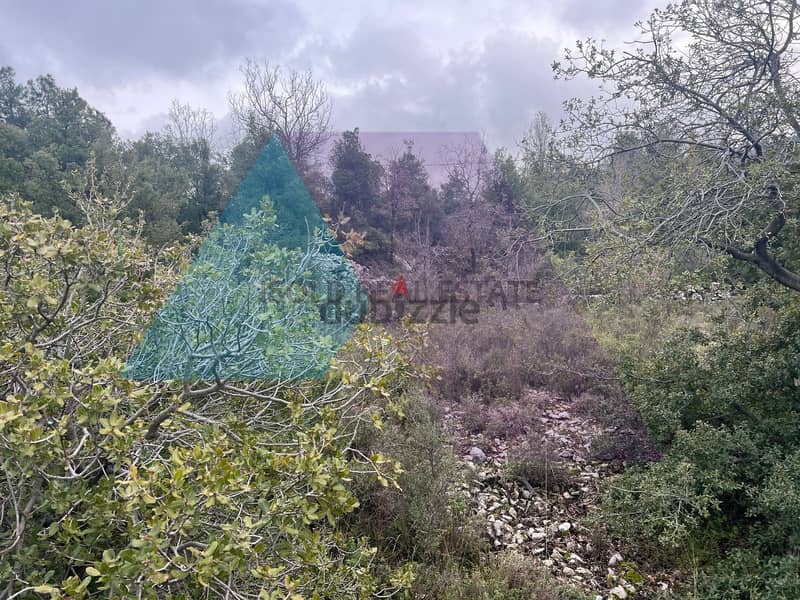 A 1930 m2 land + open mountain view for sale in Lehfed/Jbeil 2