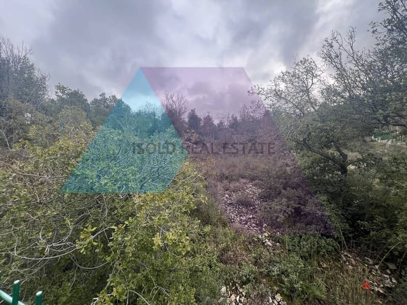 A 1930 m2 land + open mountain view for sale in Lehfed/Jbeil 3