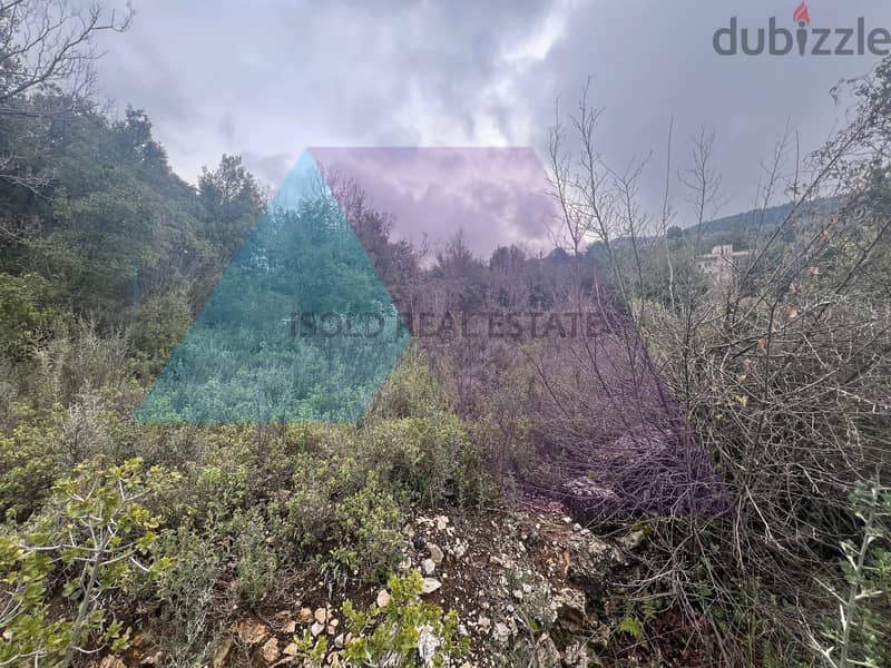 A 1930 m2 land + open mountain view for sale in Lehfed/Jbeil 4