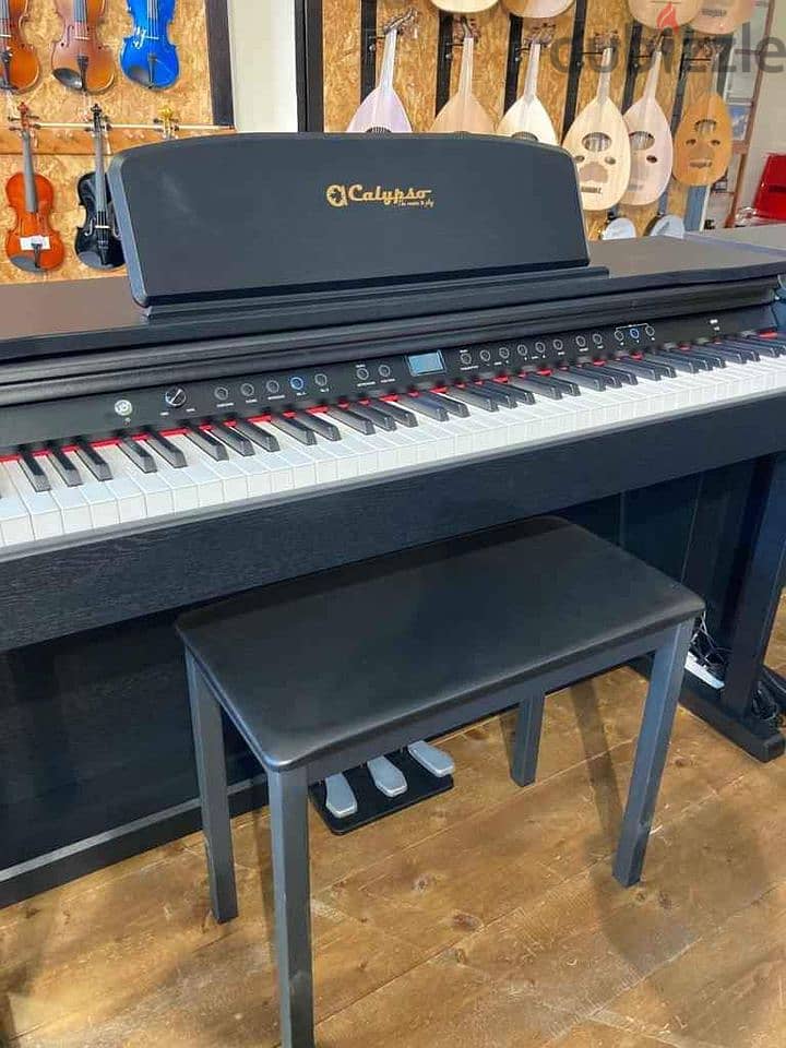Calypso DP-7 Canadian Electric Piano 1