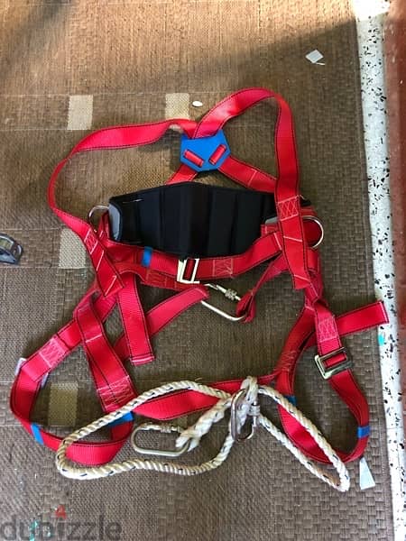 safety harness 1