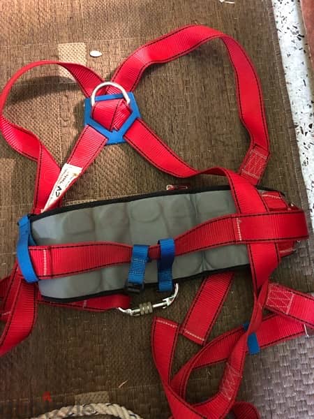 safety harness 2