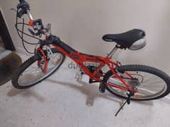 viva original bicycle 0