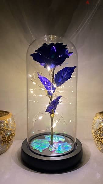 Galaxy Flowers & 3D Creative Led Light 2