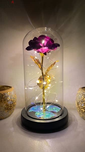 Galaxy Flowers & 3D Creative Led Light 5