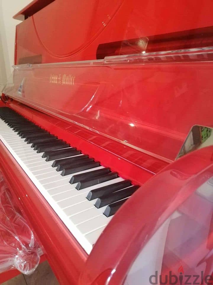 Crystal Acoustic Piano Aston & Muller 2