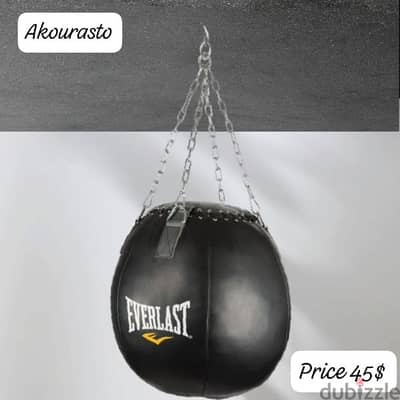 everlast Wreking boxing  ball