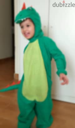 Dinosaur Costume 0