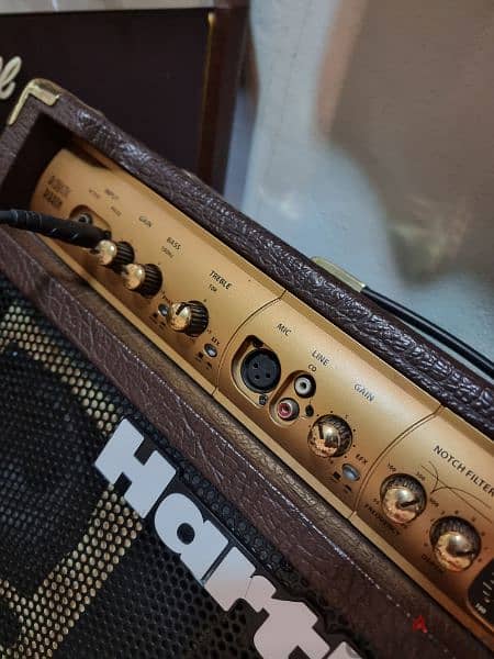 Hartke Acoustic Amplifier 3