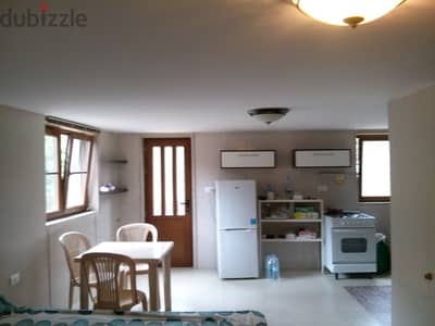 Furnished small Apartment $240 monthly rent only