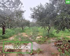 670SQM land in Amshit, Jbeil/عمشيت is now for sale REF#AB101512 0
