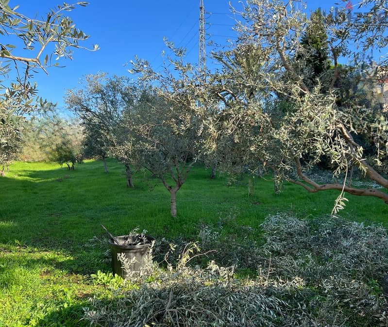 670SQM land in Amshit, Jbeil/عمشيت is now for sale REF#AB101512 1
