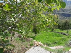 RWK163CS - Land For Sale In Faraya With Open Mountain View 0