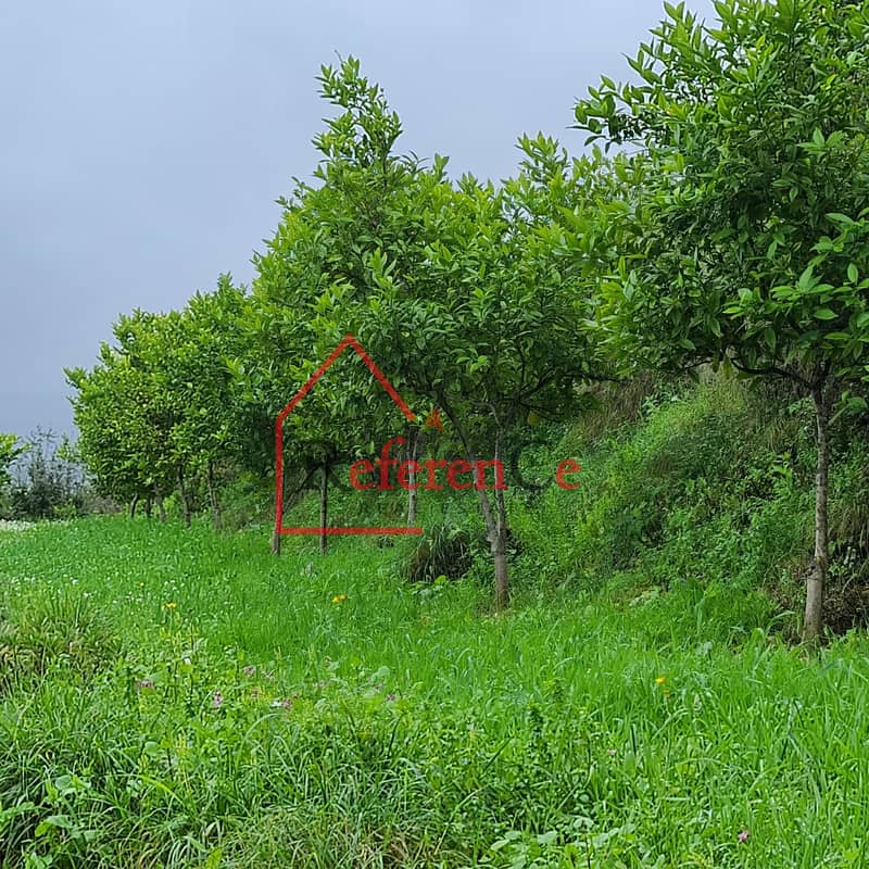 Prime land for sale in Maad-Jbeil أرض مميزة للبيع في معاد-جبيل 1