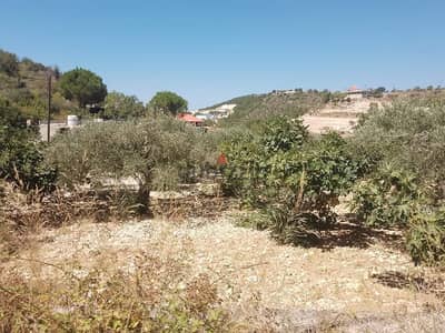 Prime land for sale JRABTA - batroun / جربتا البترون عقار مميز