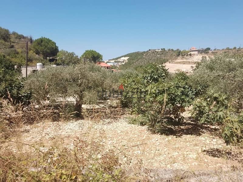 Prime land for sale JRABTA - batroun / جربتا البترون عقار مميز 0