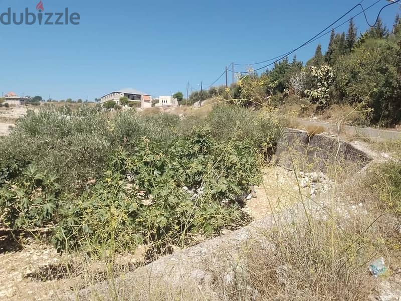 Prime land for sale JRABTA - batroun / جربتا البترون عقار مميز 1