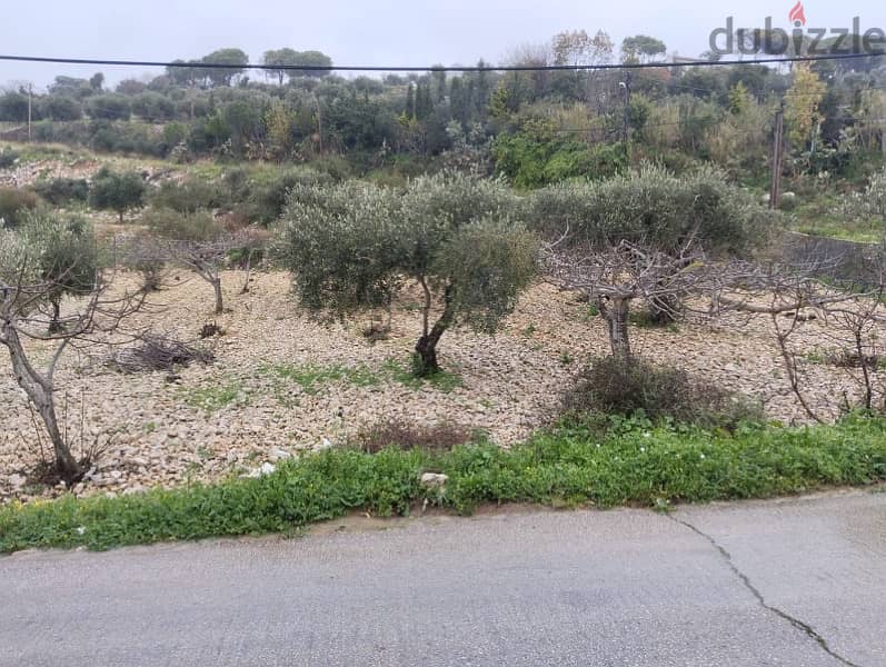 Prime land for sale JRABTA - batroun / جربتا البترون عقار مميز 2