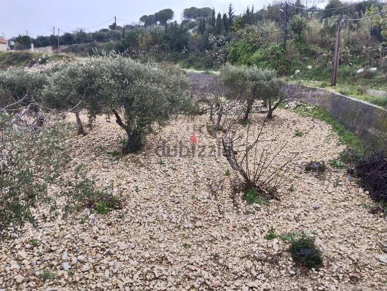 Prime land for sale JRABTA - batroun / جربتا البترون عقار مميز 4