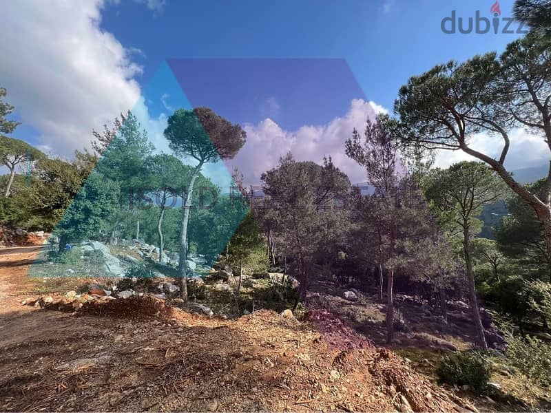 A 1870 m2 land  for sale in Broumana - أرض للبيع في برمانا 0