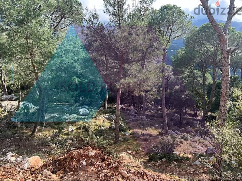 A 1870 m2 land  for sale in Broumana - أرض للبيع في برمانا 4