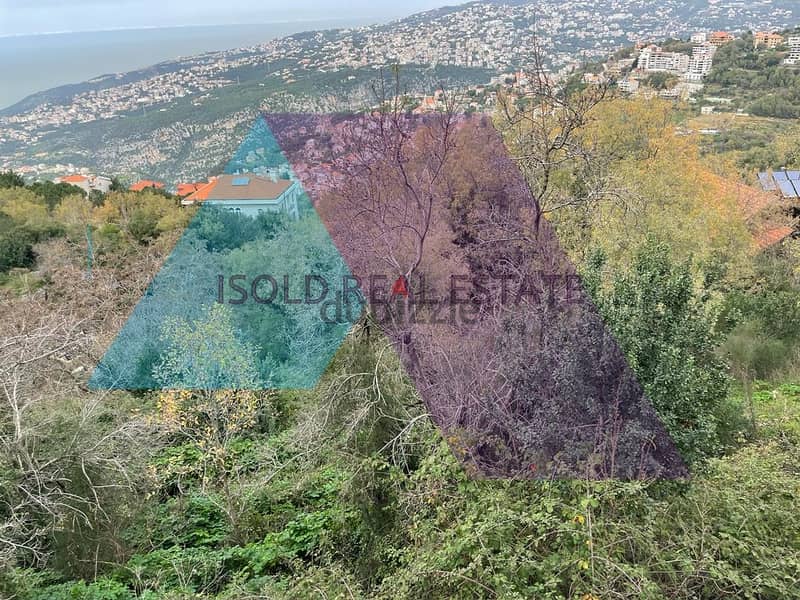 A 6481 m2 land for sale in Bikfaya - ارض للبيع في بكفيا 1