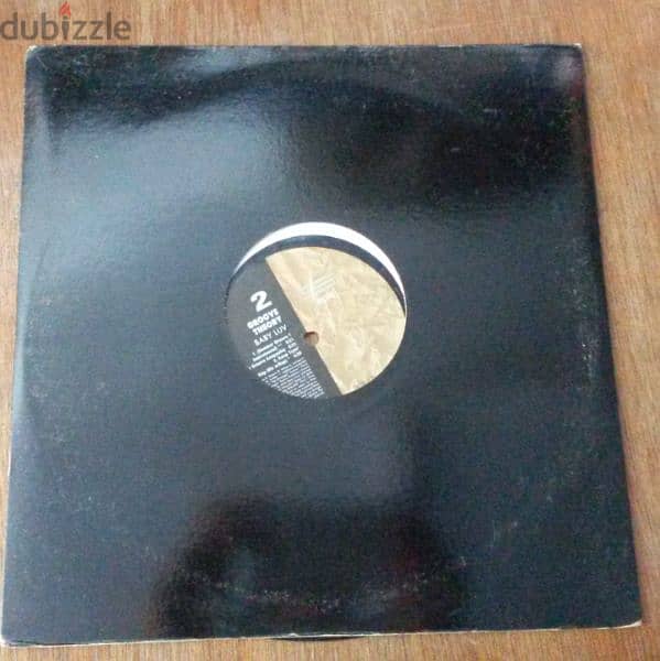 vinyl disks 17