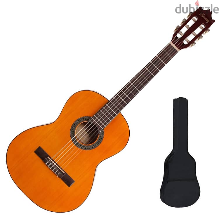 Ibanez Classical Guitar 0