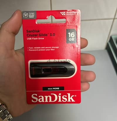 Sandisk