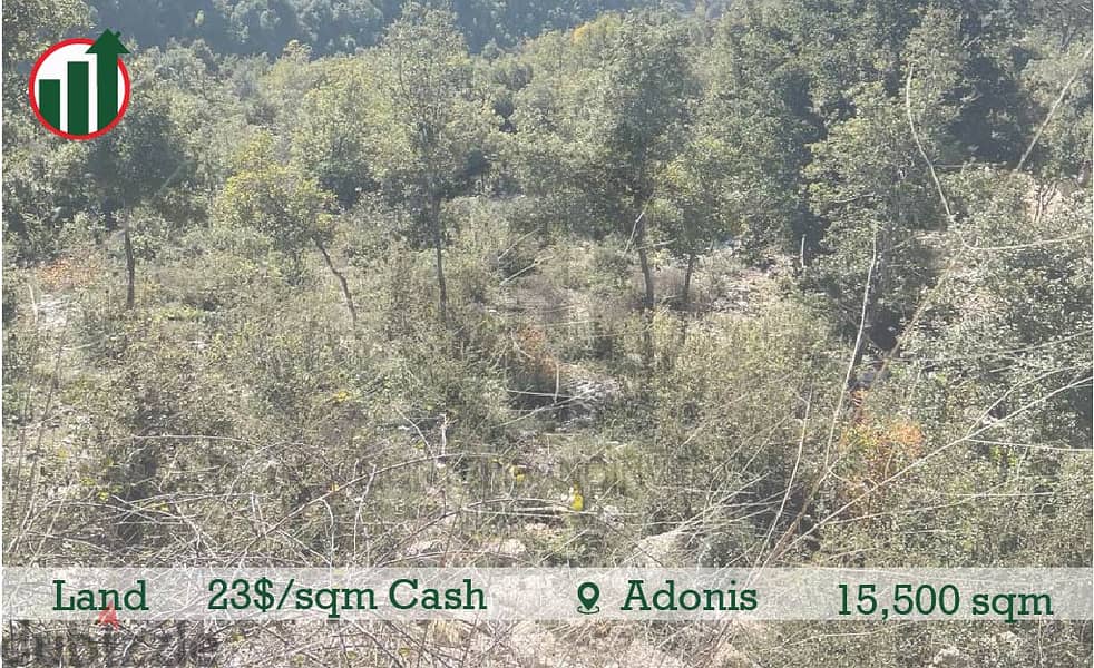 Catchy Land for sale in Adonis! 0
