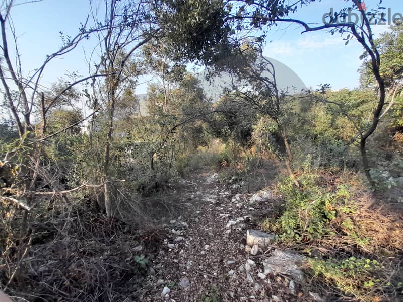 2500 sqm land FOR SALE in Thoum/تحوم REF#MF102033 1