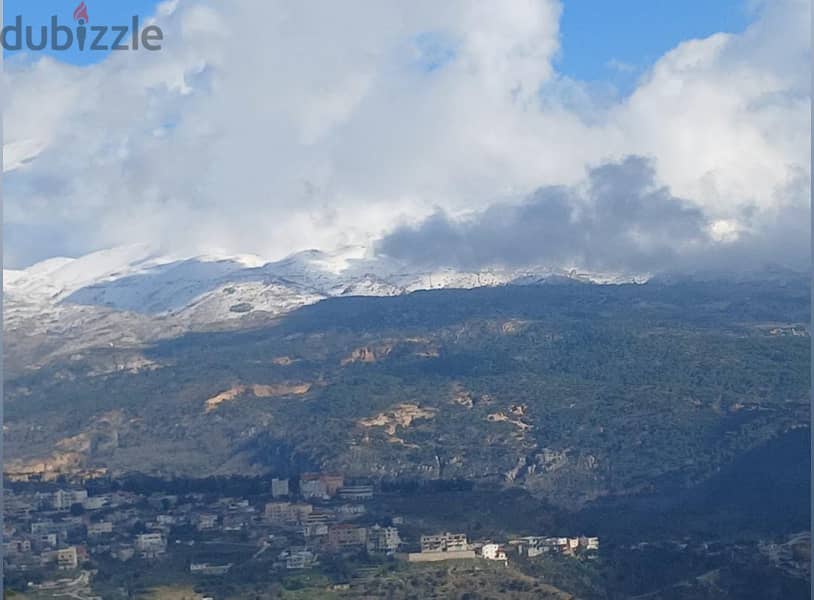 Mountain Retreat: 15,000m² Land for Sale in Badghan - Roumiyyeh 0