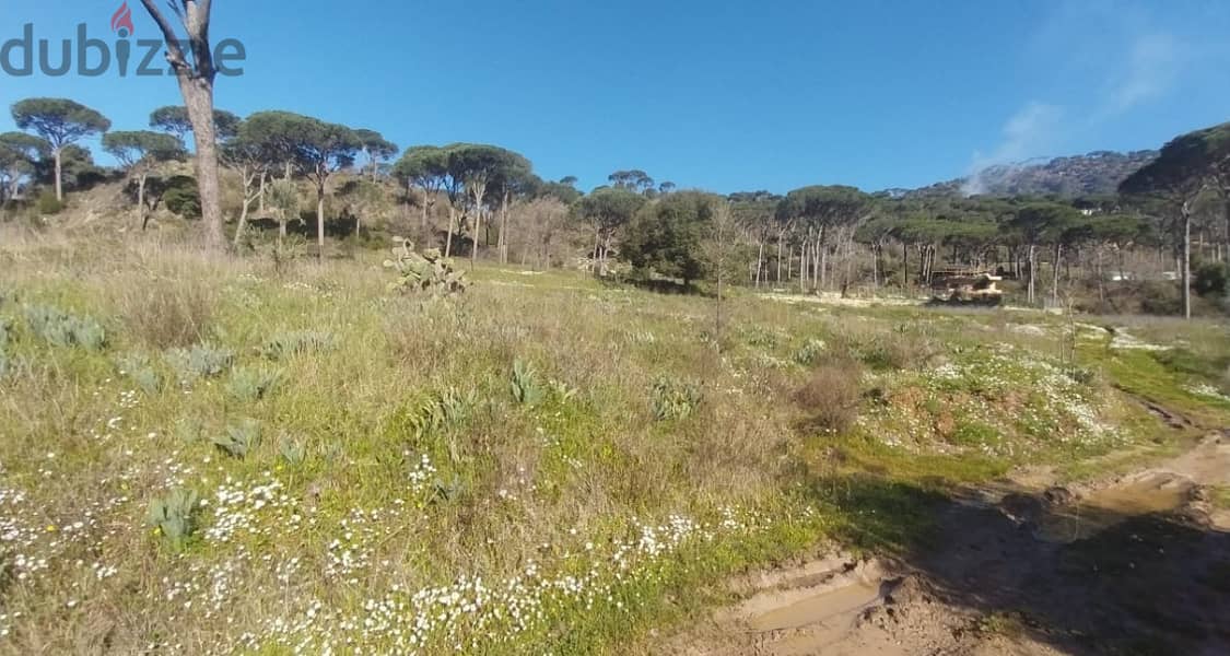1000 Sqm | Land For Sale in Chamisseh - الشميسة 0
