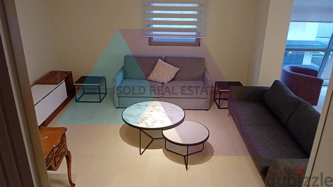 Furnished 203 m2 duplex +55 m2 rooftop for rent in Saify/Achrafieh 2