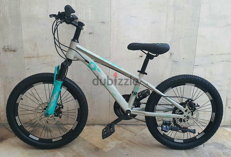 Size 20" vitess 3x7 speed disc brakes Aluminium rims 1