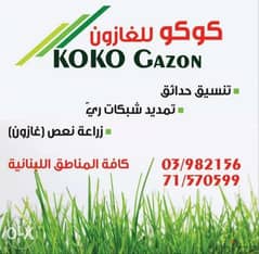 Koko Gazon 0