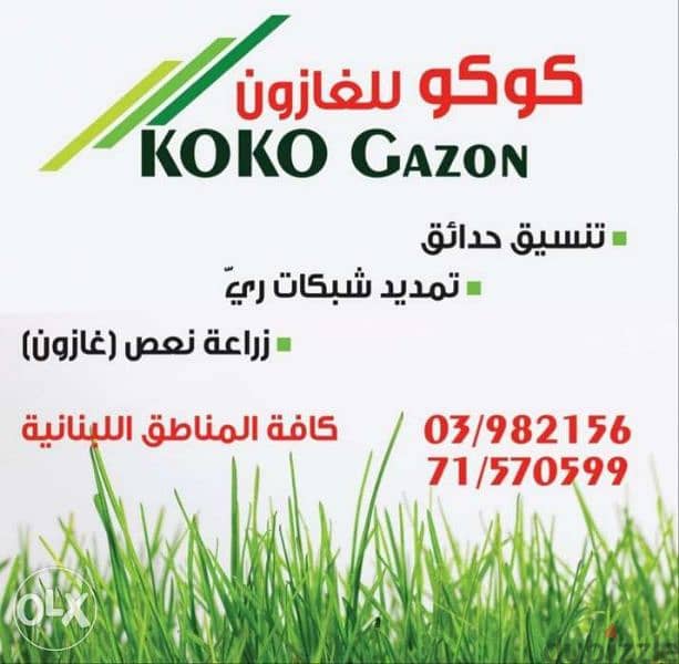 Koko Gazon 0