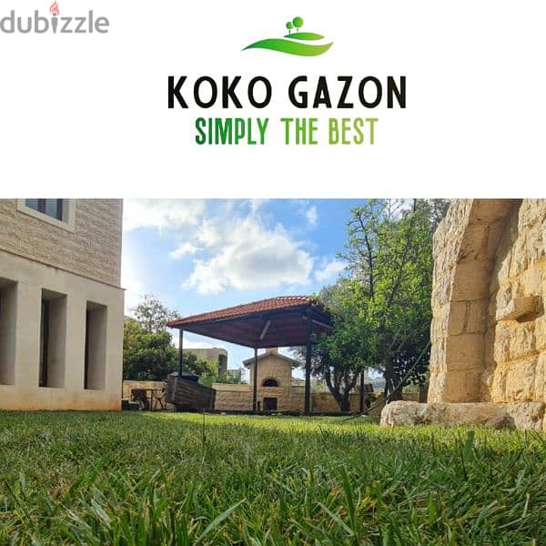 Koko Gazon 1