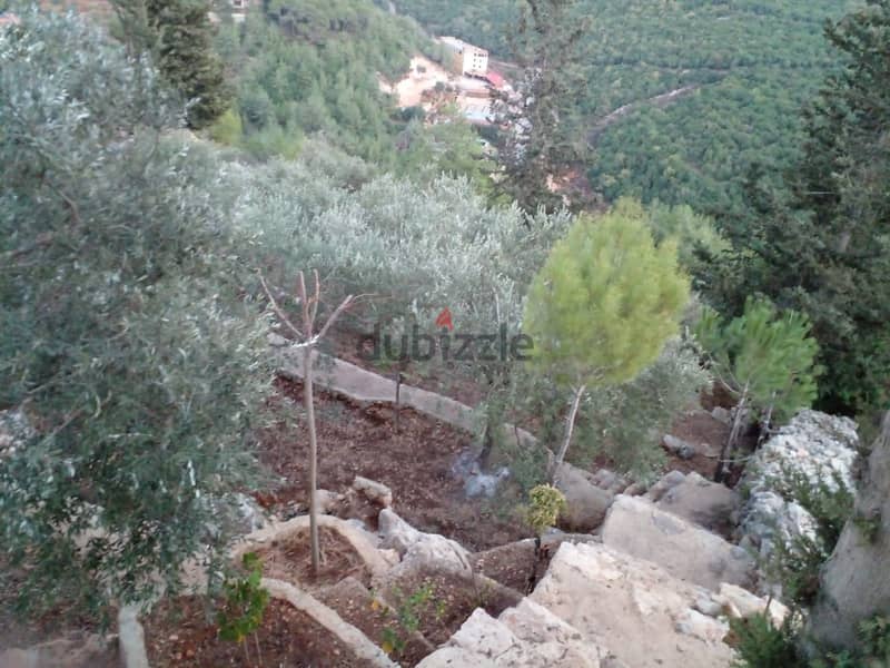 890 Sqm | Land for sale in Chhim / عين الاسد والشميس | Mountain view 2
