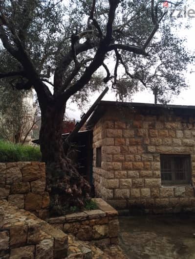 TRADITIONAL HOUSE IN BIKFAYA ZIGHRINE 800SQ