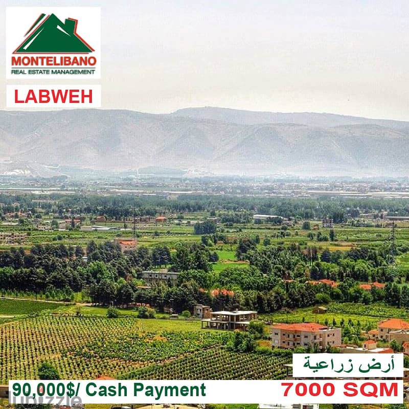 90,000$ !!! Land for sale located in Labweh Bekaa 0