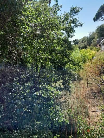 ارض للبيع في الرملية land for sale in rmlye aley